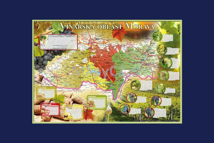 Vinařská mapa - Vinařská oblast Morava, stolní mapa 60 x 45 cm
