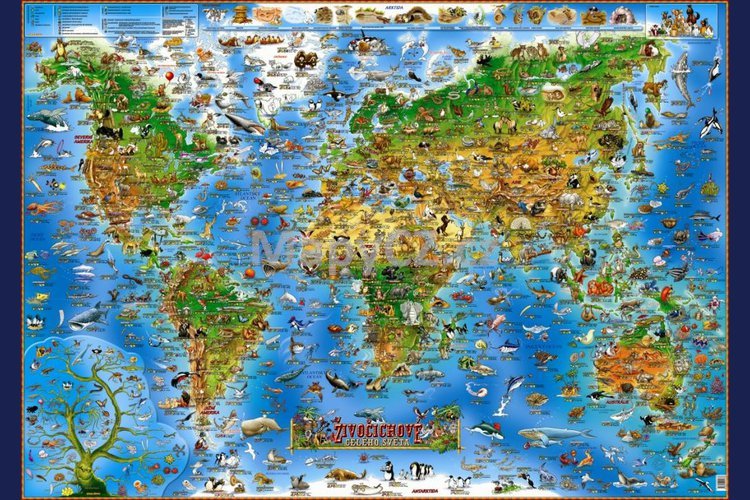 Dětská nástěnná mapa ŽIVOČICHOVÉ SVĚTA 137 x 97 cm